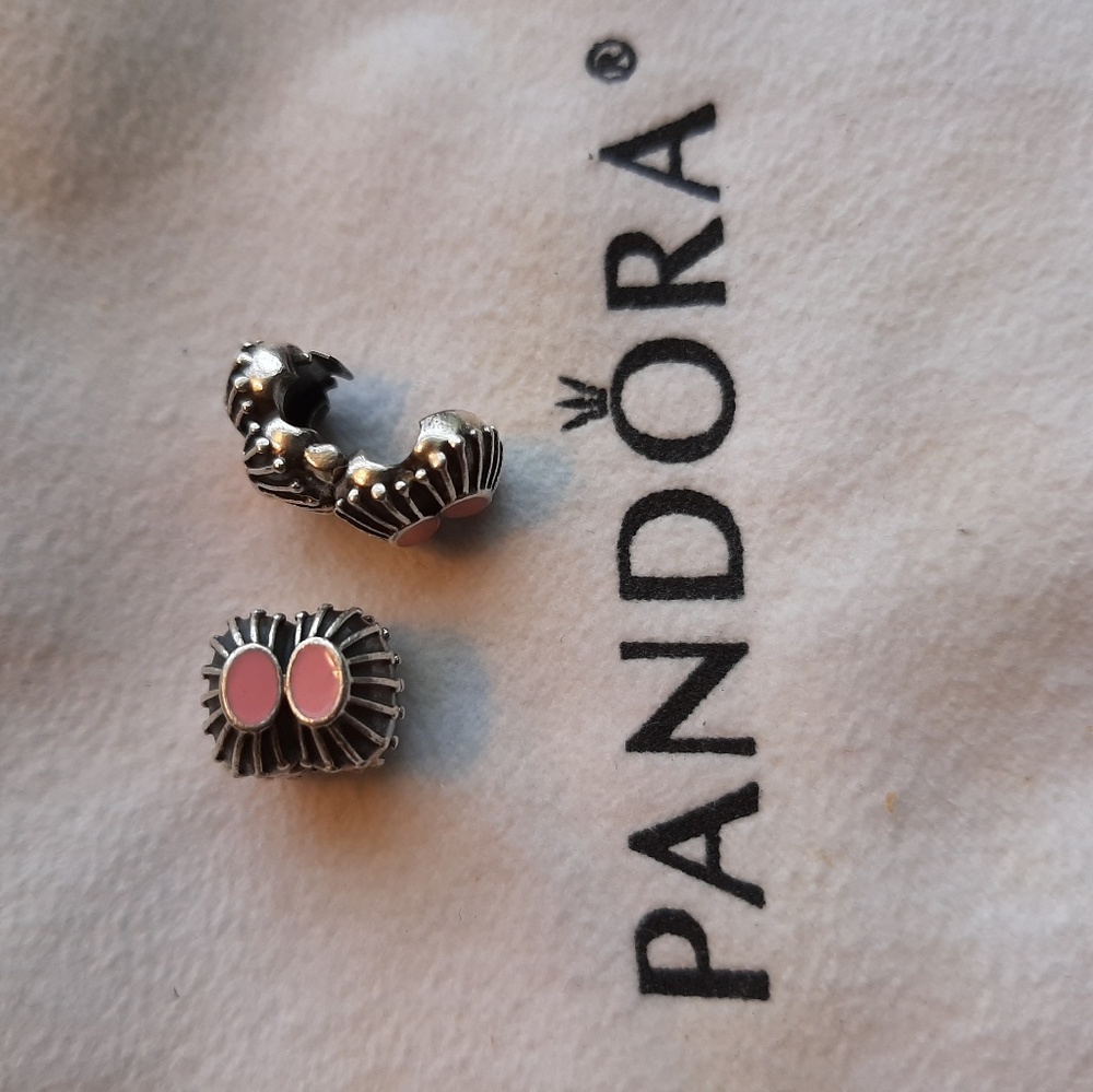 Pandora Charm